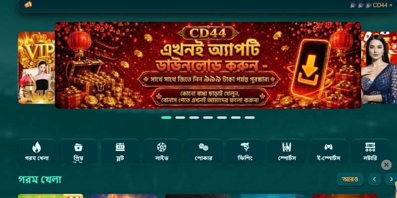 বর্তমান CD44 গোপনীয়তা নীতি-এর সারসংক্ষেপ